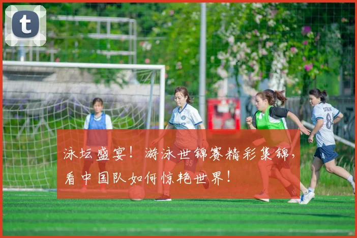 泳坛盛宴!游泳世锦赛精彩集锦,看中国队如何惊艳世界!
