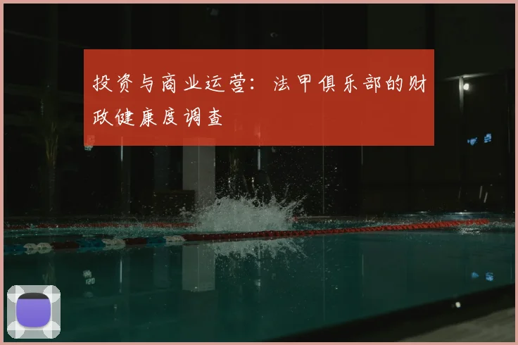 投资与商业运营：法甲俱乐部的财政健康度调查